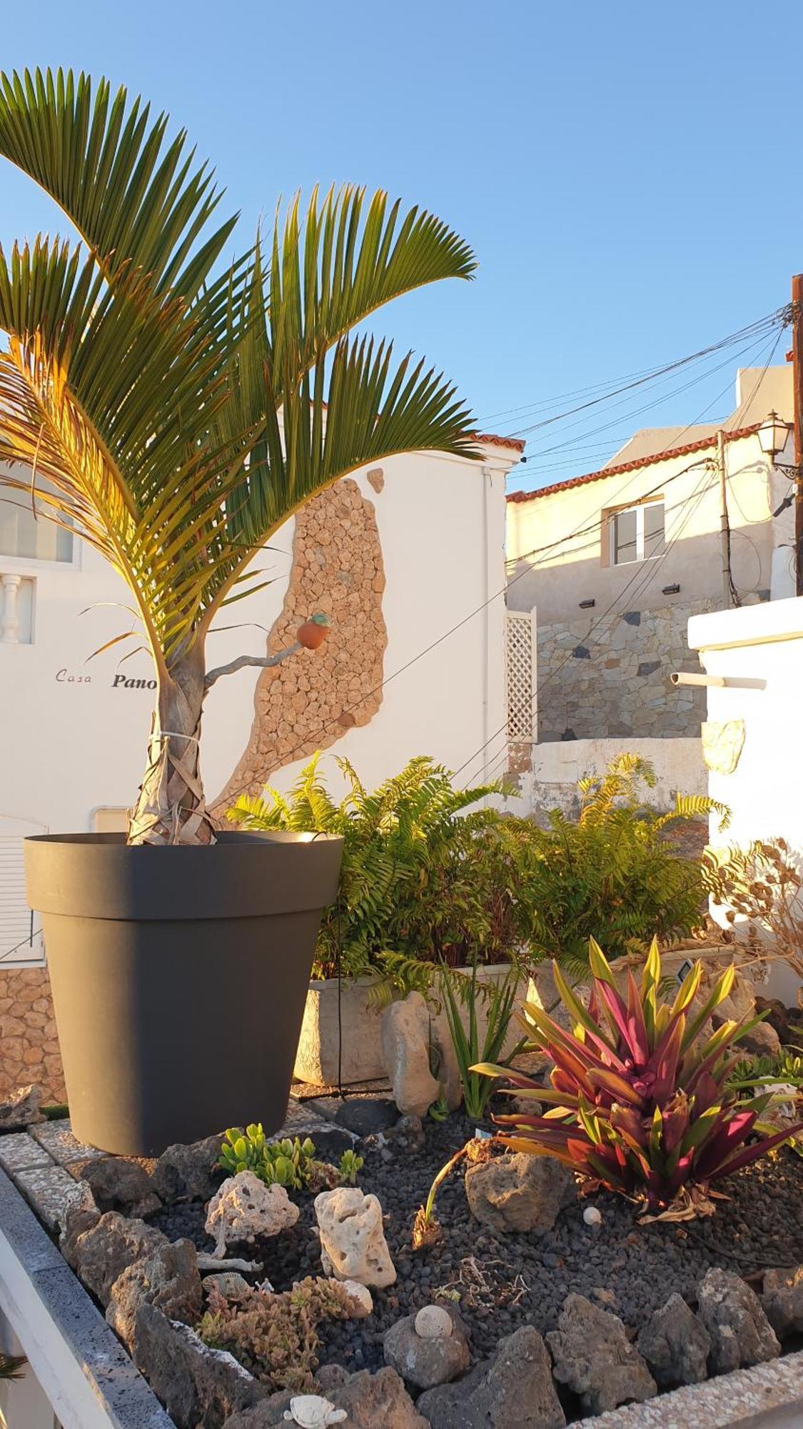 Apartment El Atico Bonito